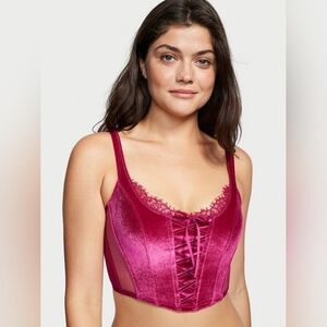 VICTORIA'S SECRET corset top.